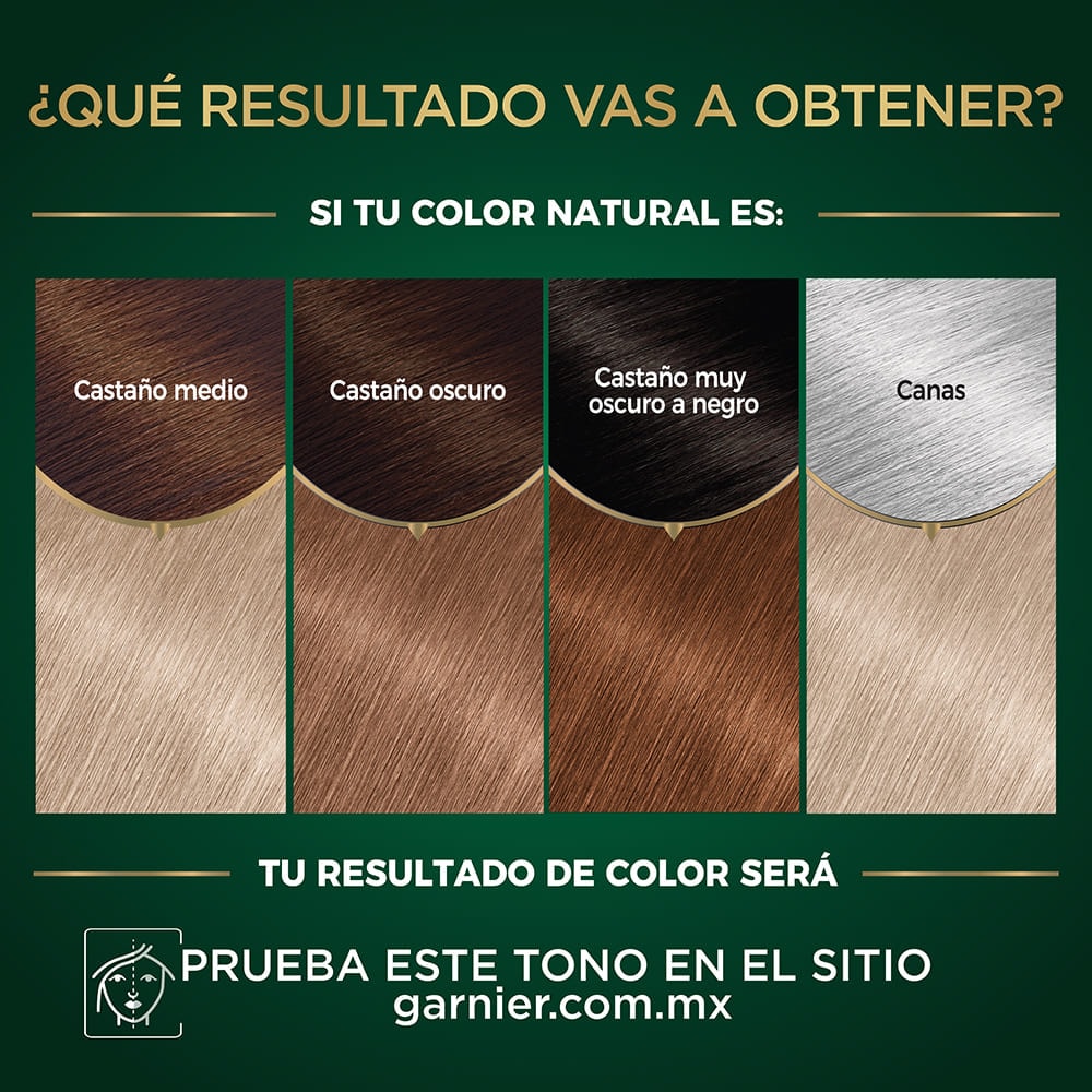 tintes de cabello óleos de garnier  